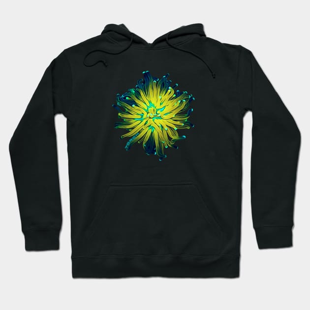 Starlight Torch Coral Hoodie by unrefinedgraphics